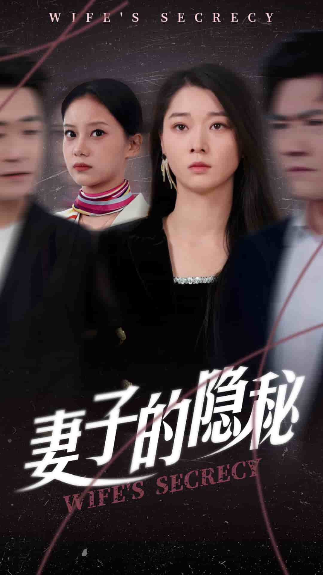 妻子的隐秘(全集)