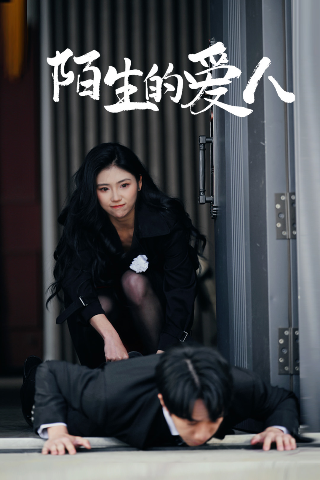 陌生的爱人(全集)