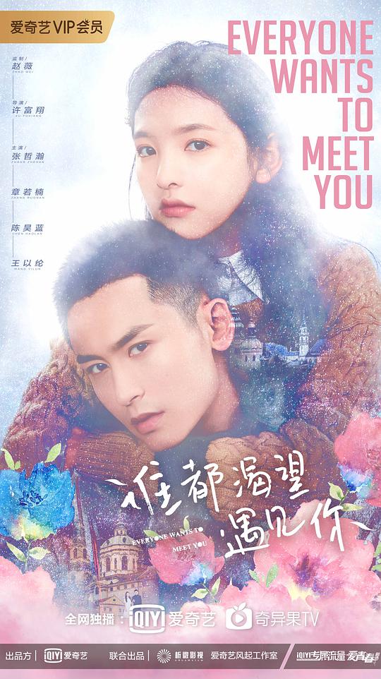 谁都渴望遇见你第36集(大结局)