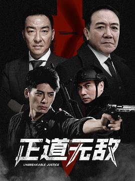 正道无敌第25集