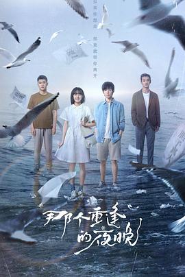 那个重逢的夜晚第09集