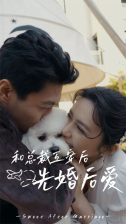 和总裁互穿后先婚后爱第51集