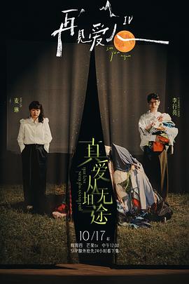 再见爱人第四季第20250102期上