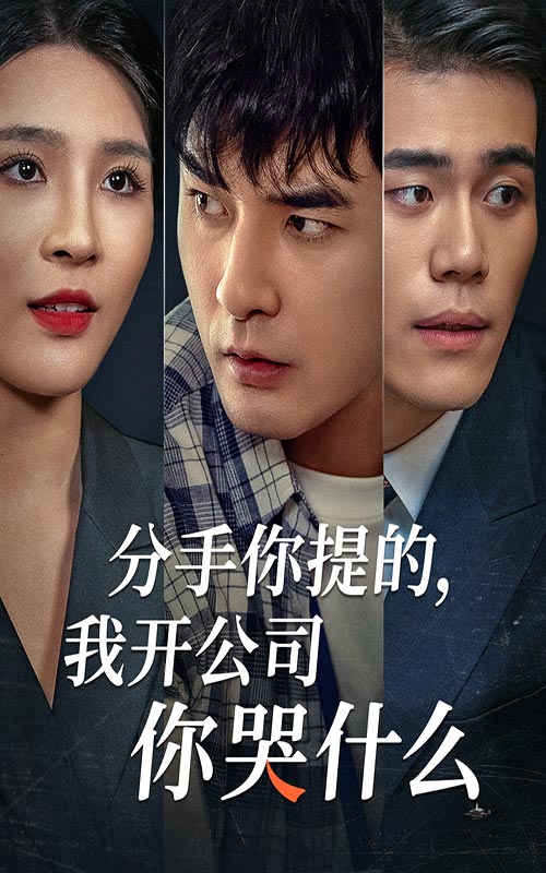 分手你提的，我开公司你哭什么第26集