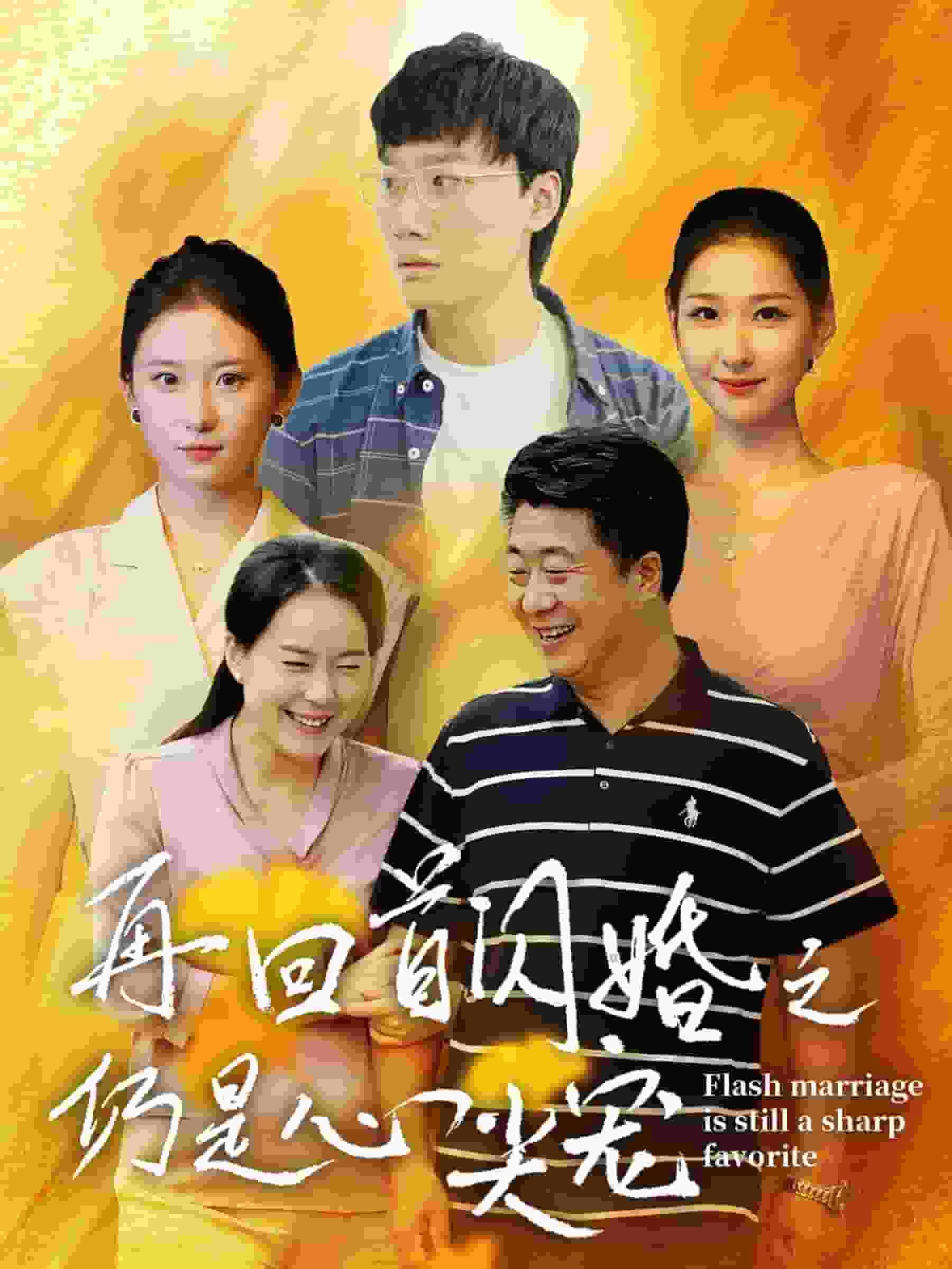 再回首闪婚之仍是心尖宠第28集