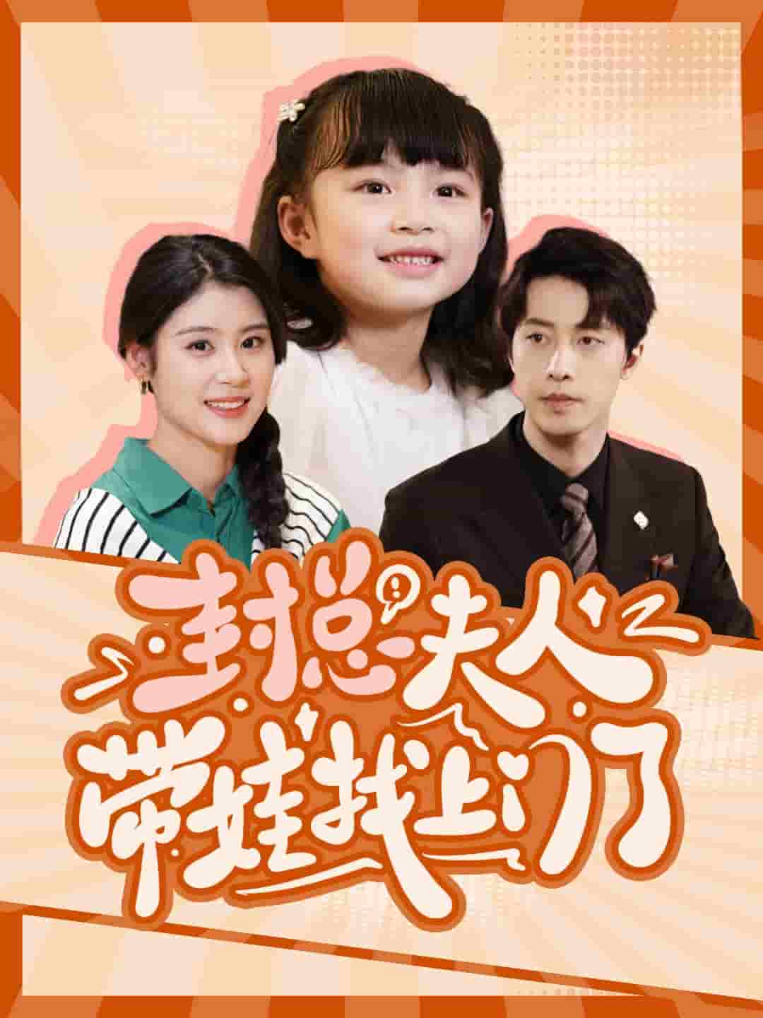 封总夫人带娃找上门了第05集