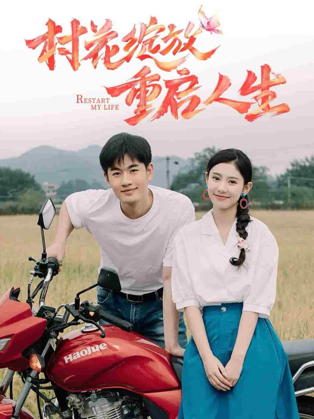 村花绽放重启人生第15集
