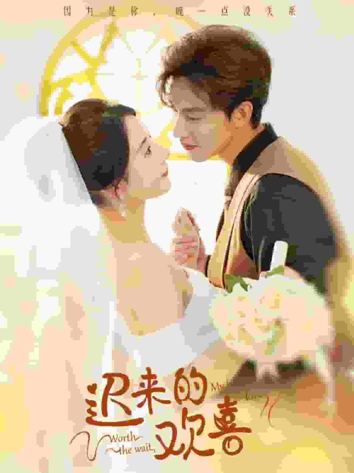 迟来的欢喜第36集