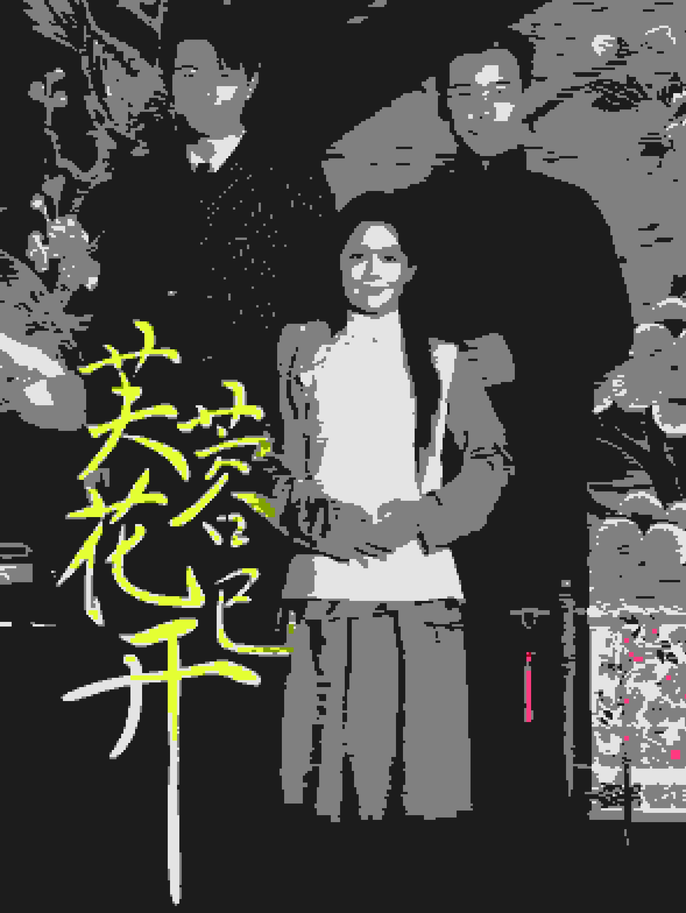 芙蓉花已开第46集
