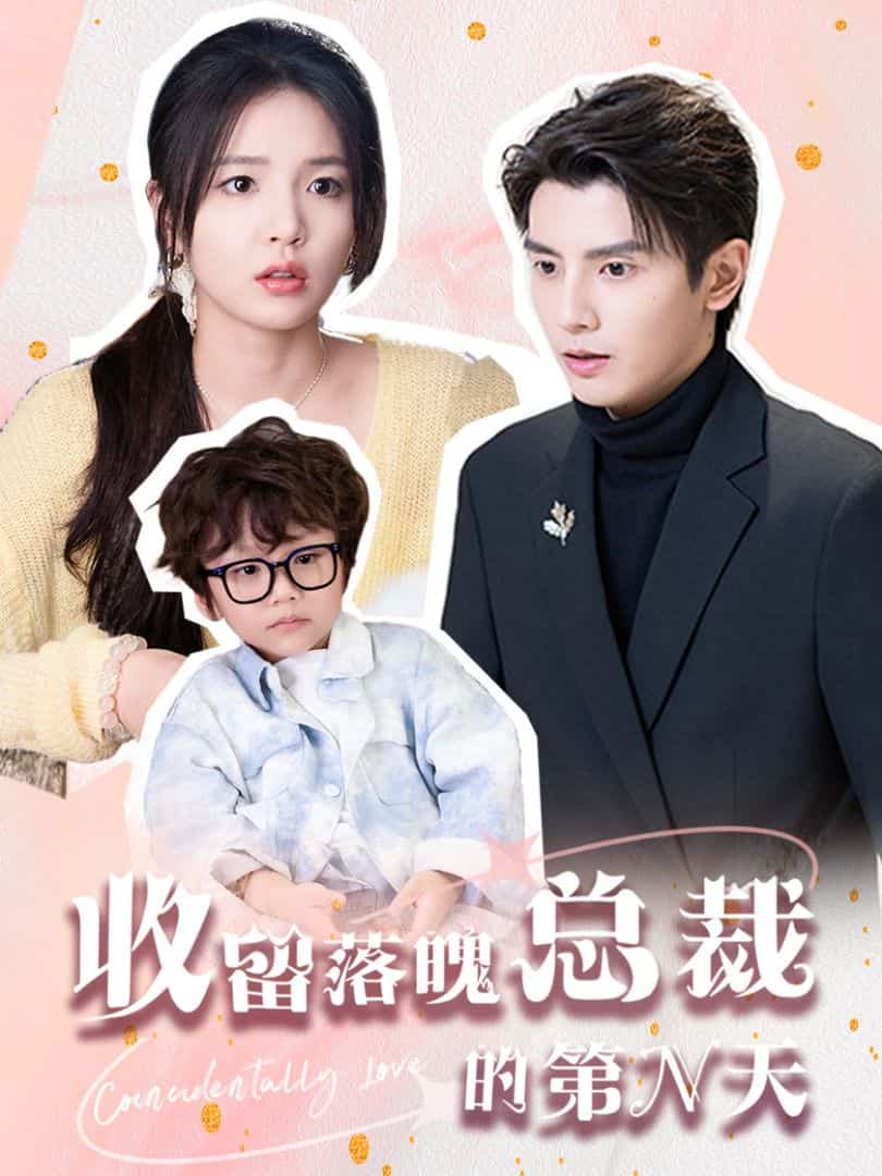 收留落魄总裁的第N天第52集