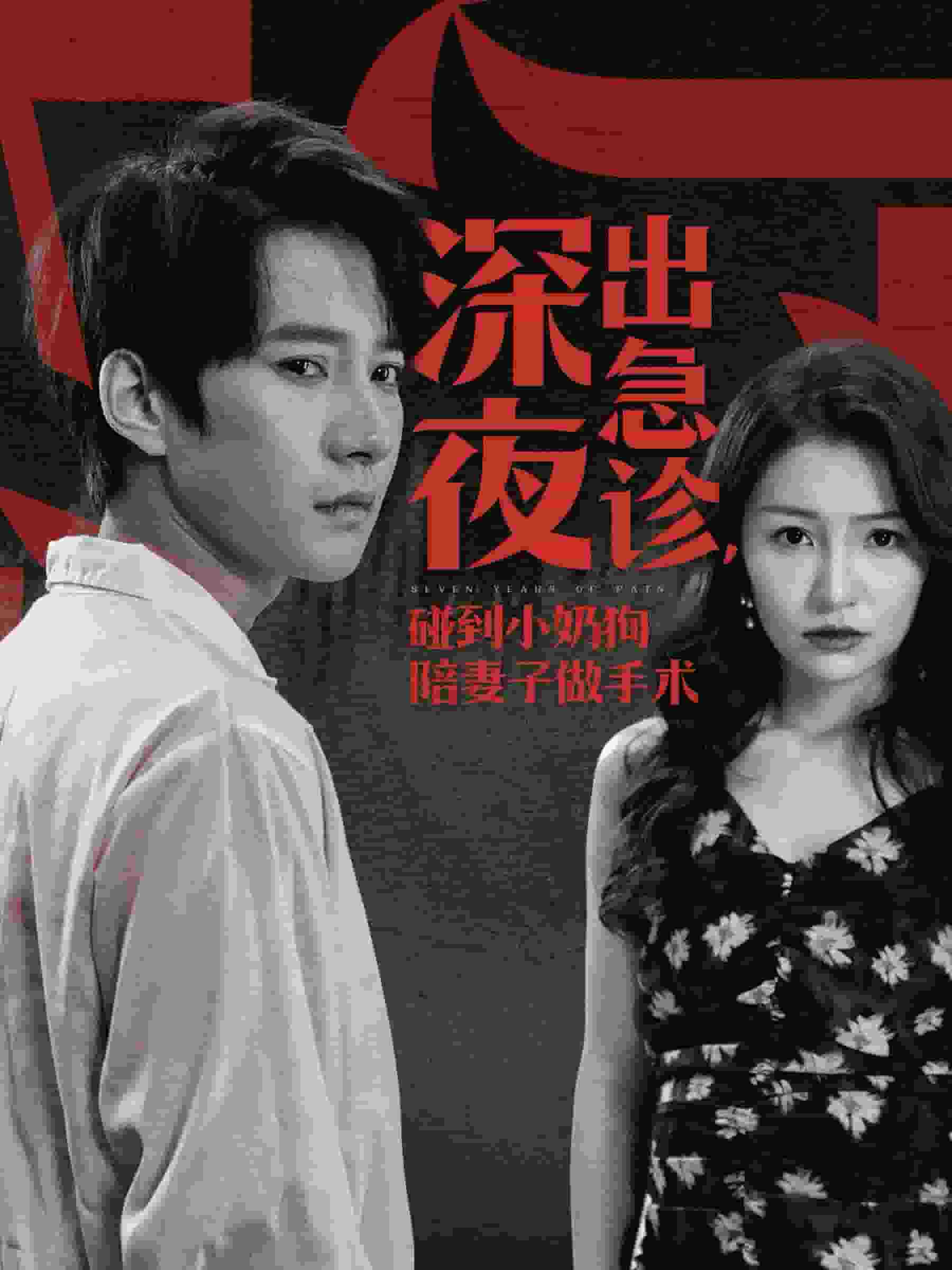 深夜出急诊碰到小奶狗陪妻子做手术第21集
