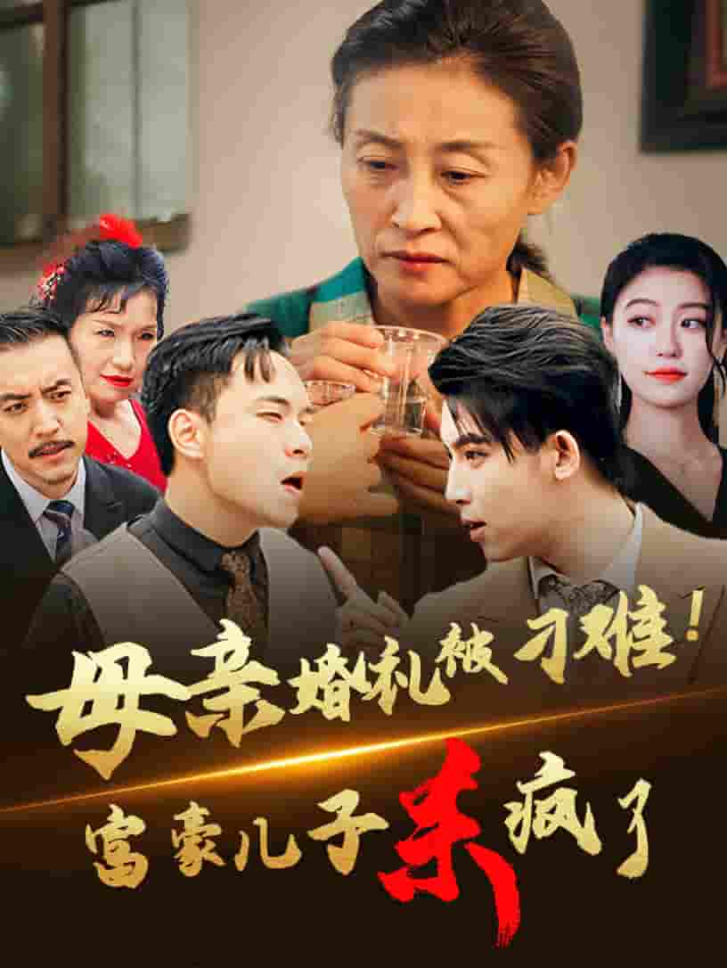 母亲婚礼被刁难首富儿子杀疯了第30集