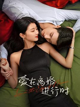 爱在离婚进行时2025第09集