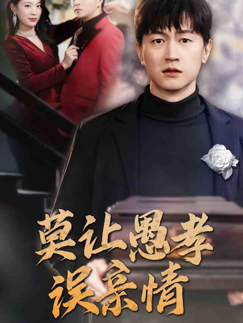 莫让愚孝误亲情第40集