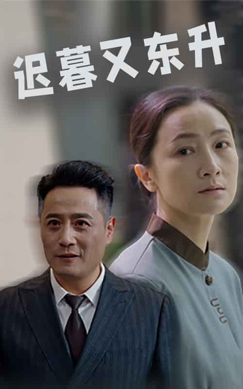 迟暮又东升第15集