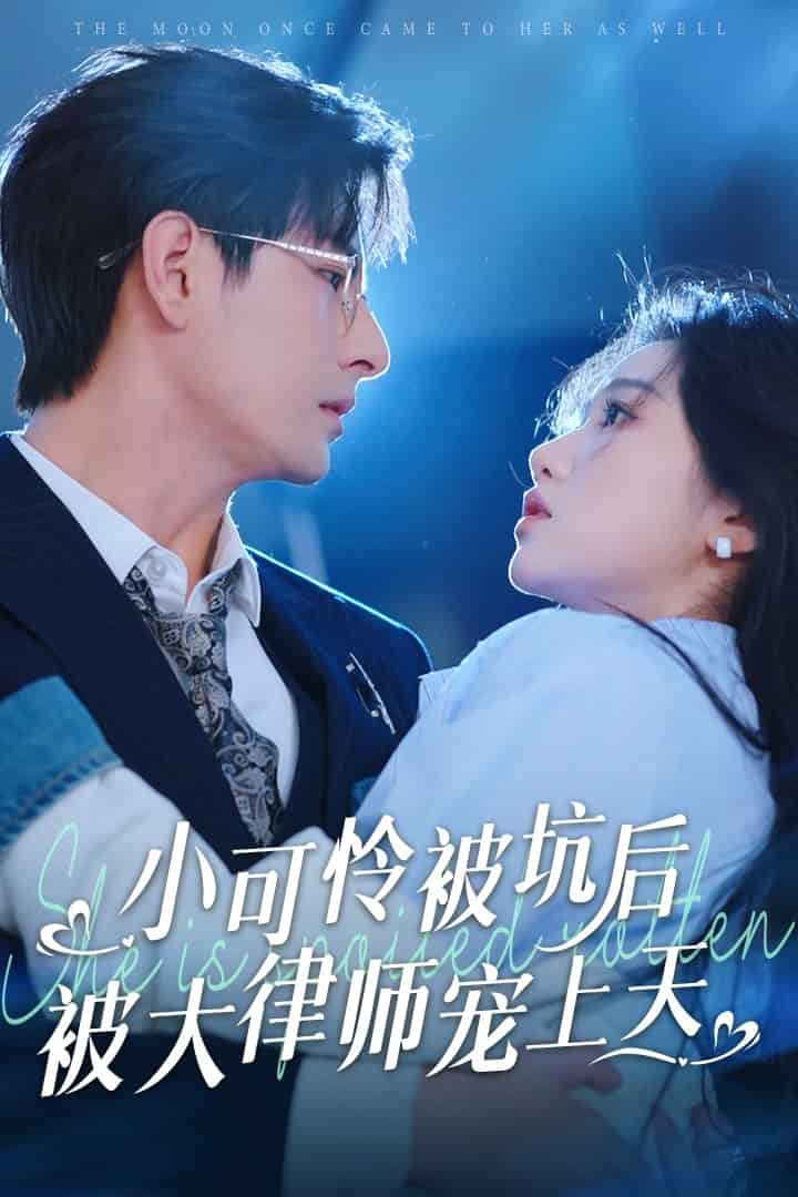 小可怜被坑后被大律师宠上天第7集
