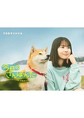 今日份的散步第02集
