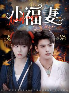 小福妻第28集