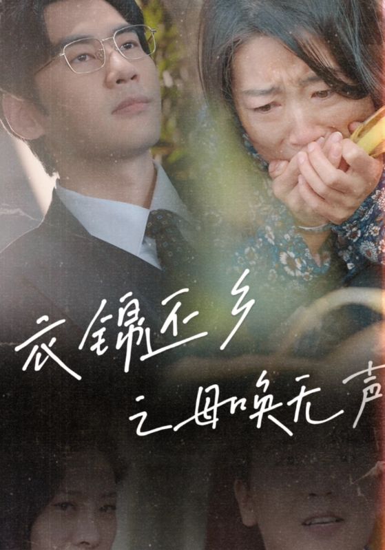 衣锦还乡之母唤无声第1集