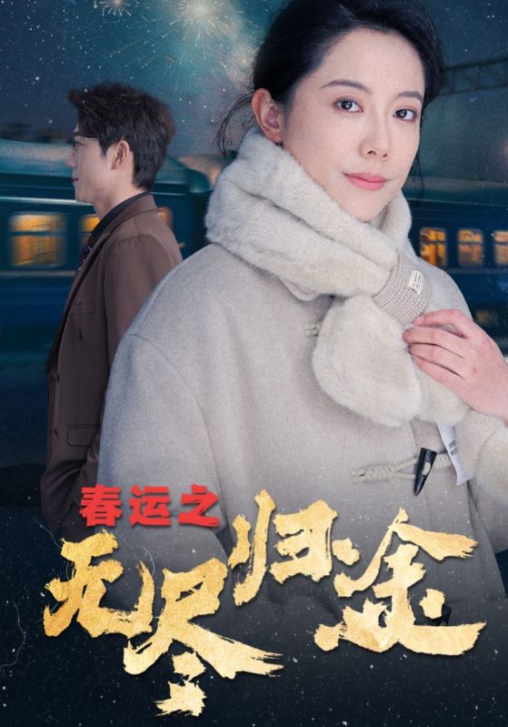 春运之无尽归途第16集