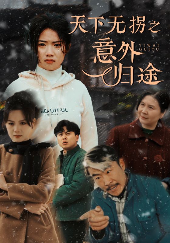 天下无拐之意外归途第3集