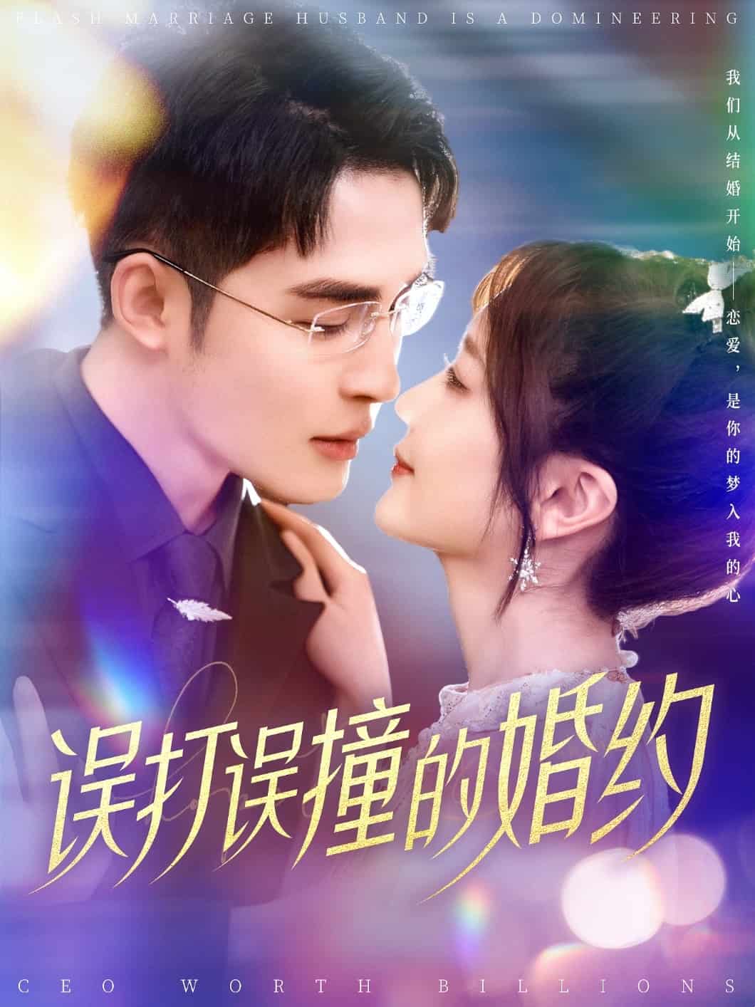 误打误撞的婚约第29集