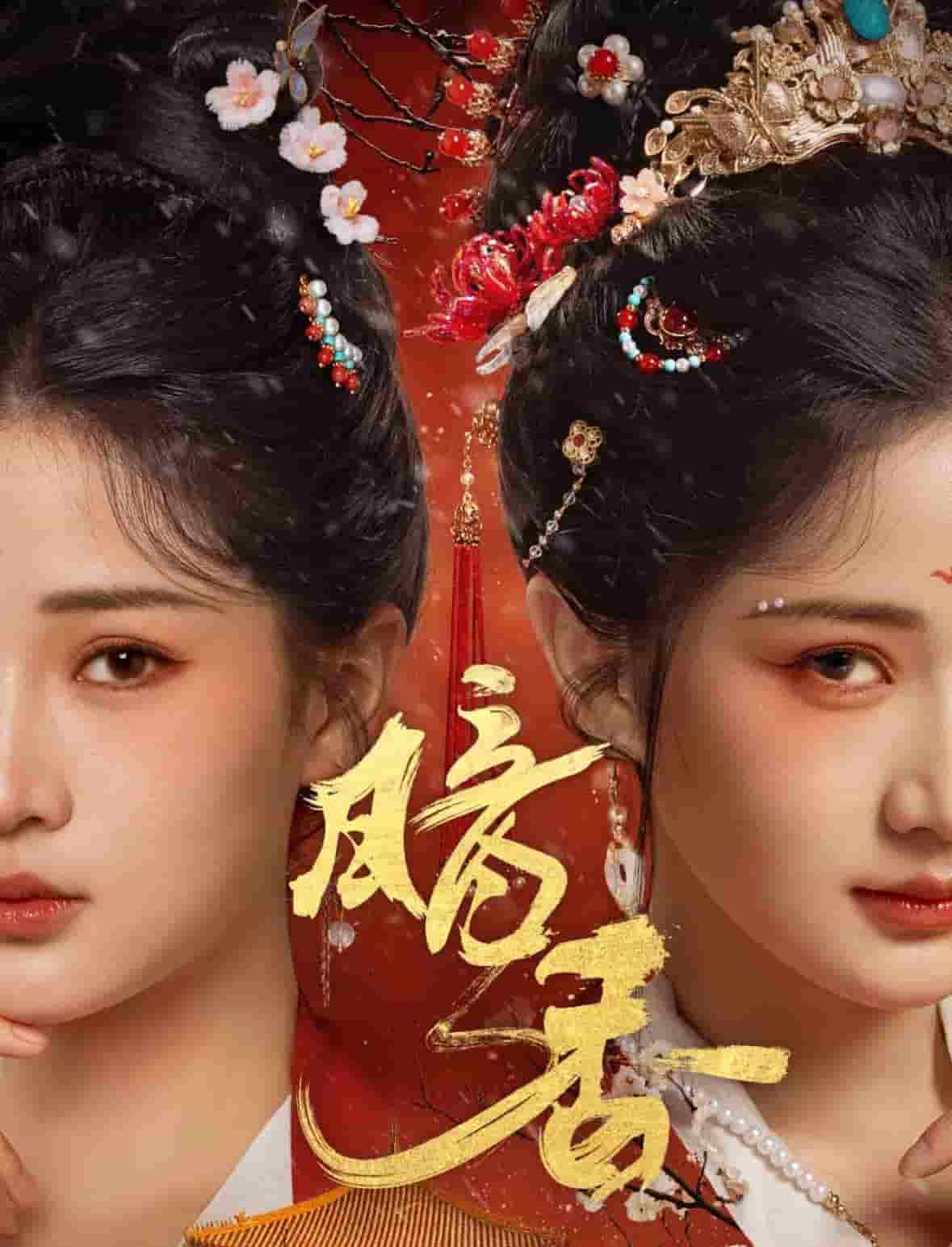 暗香（短剧版）第35集