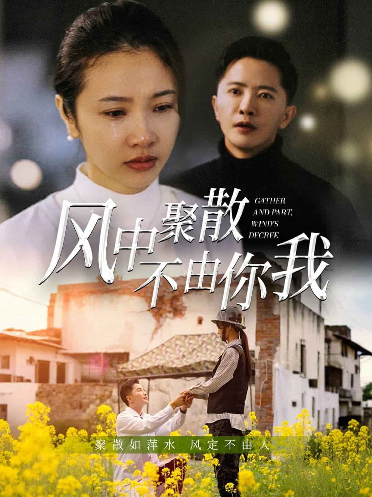 风中聚散不由你我第37集