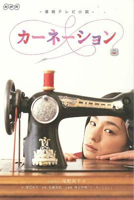 康乃馨第19集