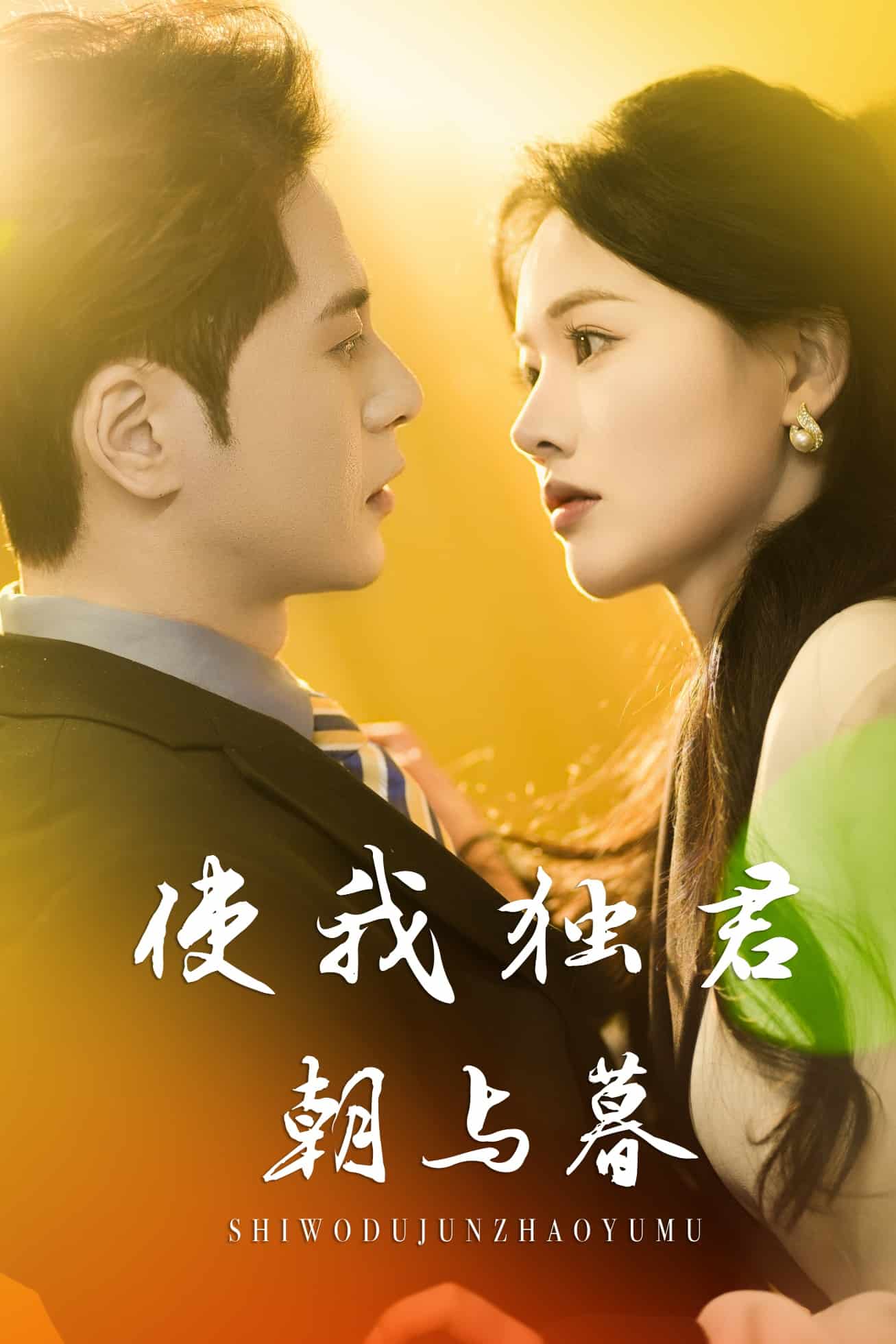 使我独君朝与暮第9集