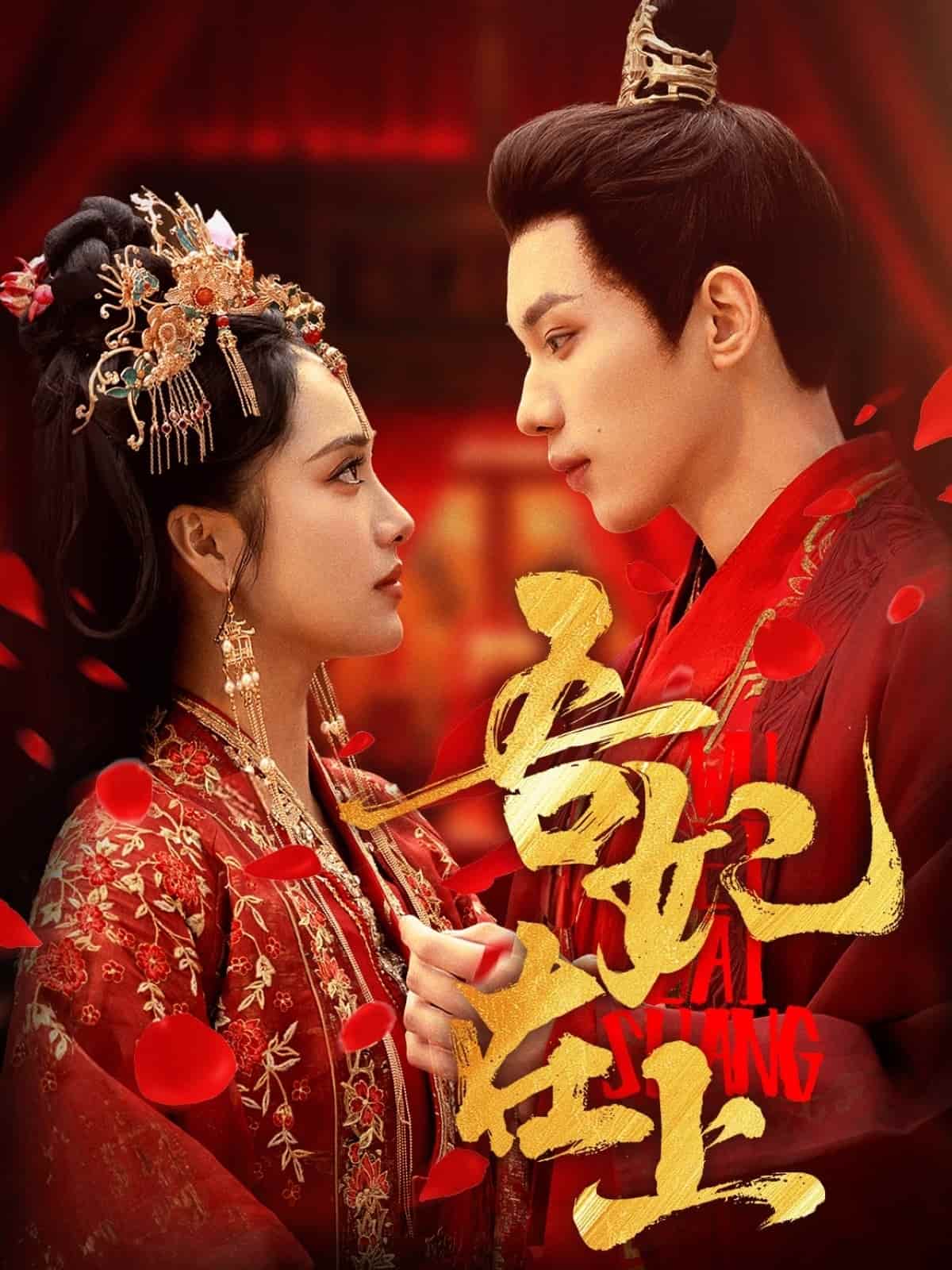 吾妃在上第2集