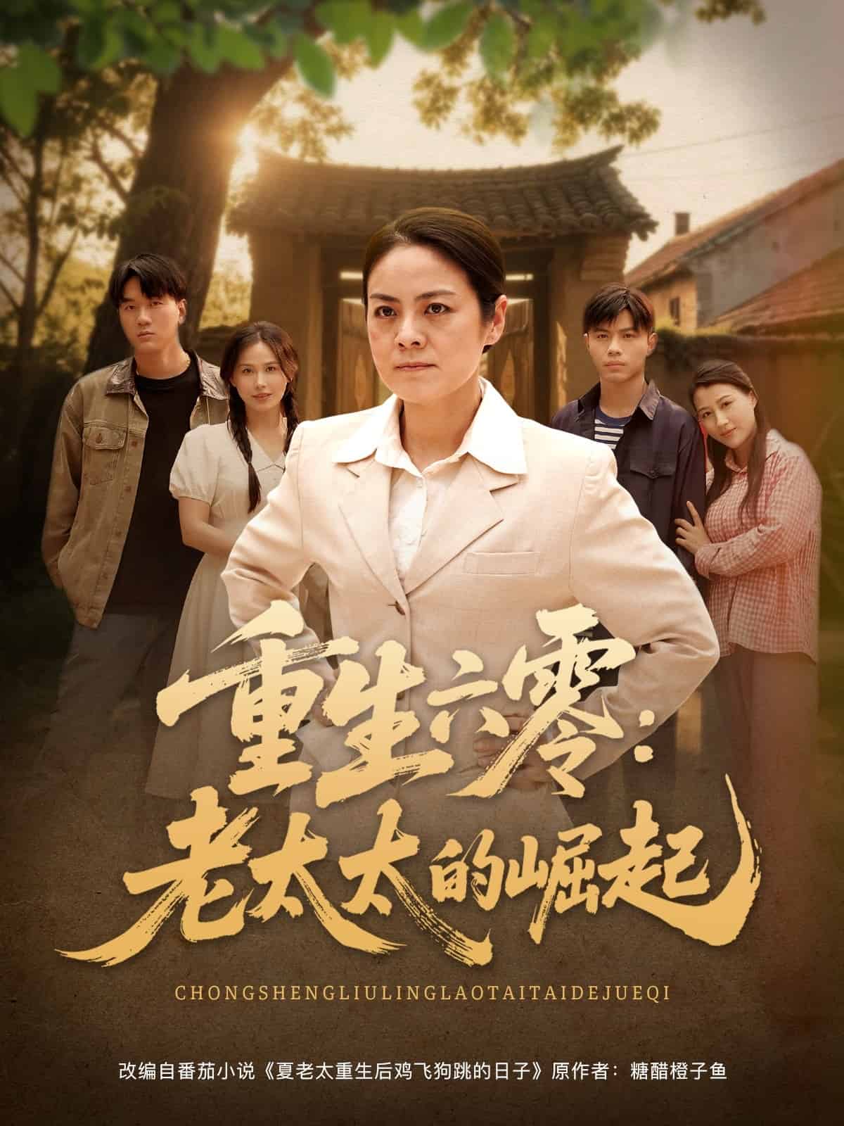 重生六零：老太太的崛起第3集