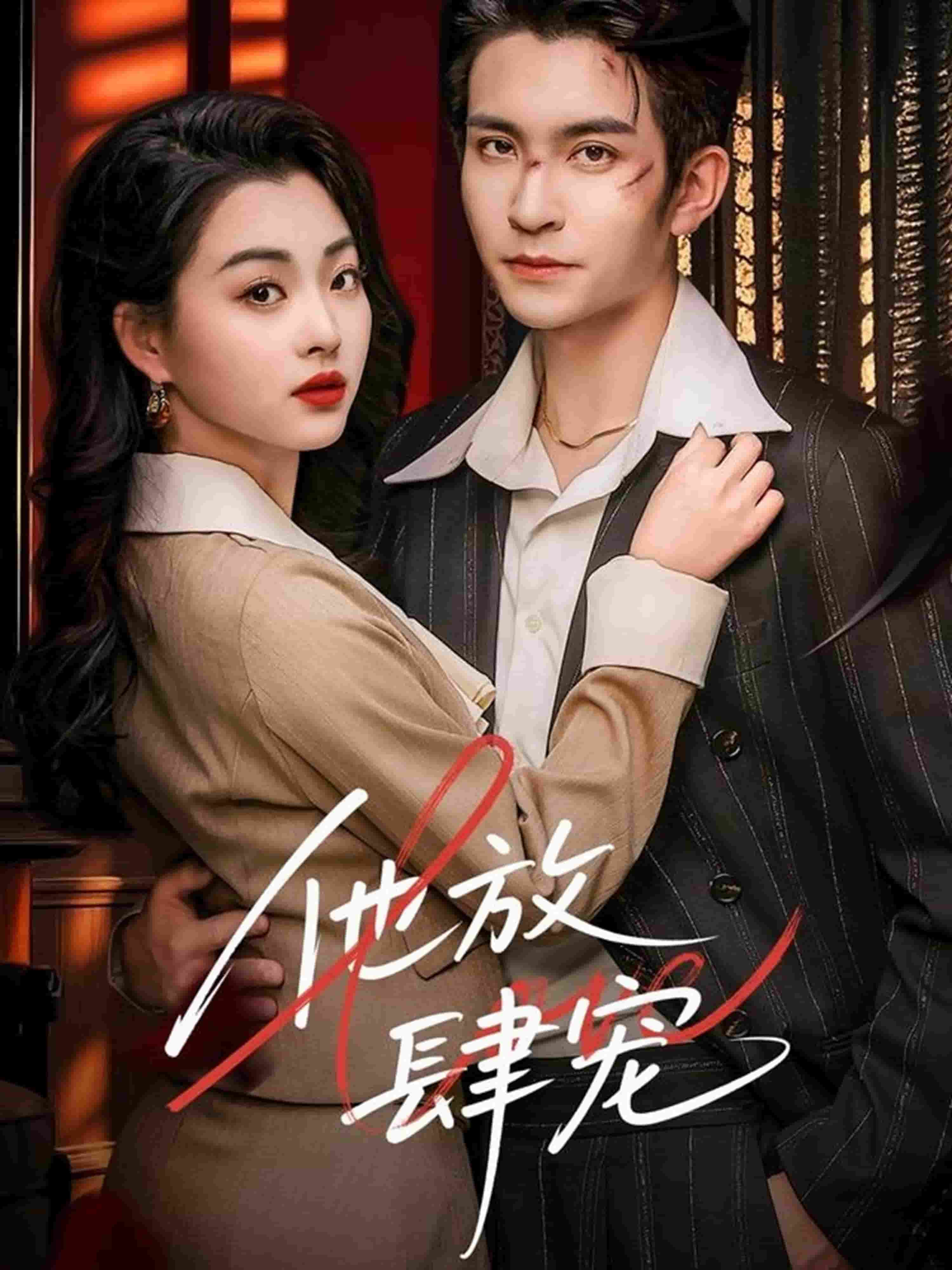 他放肆宠第33集