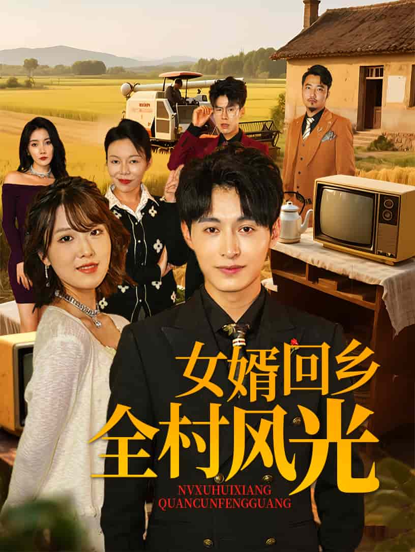 女婿回乡全村风光第28集