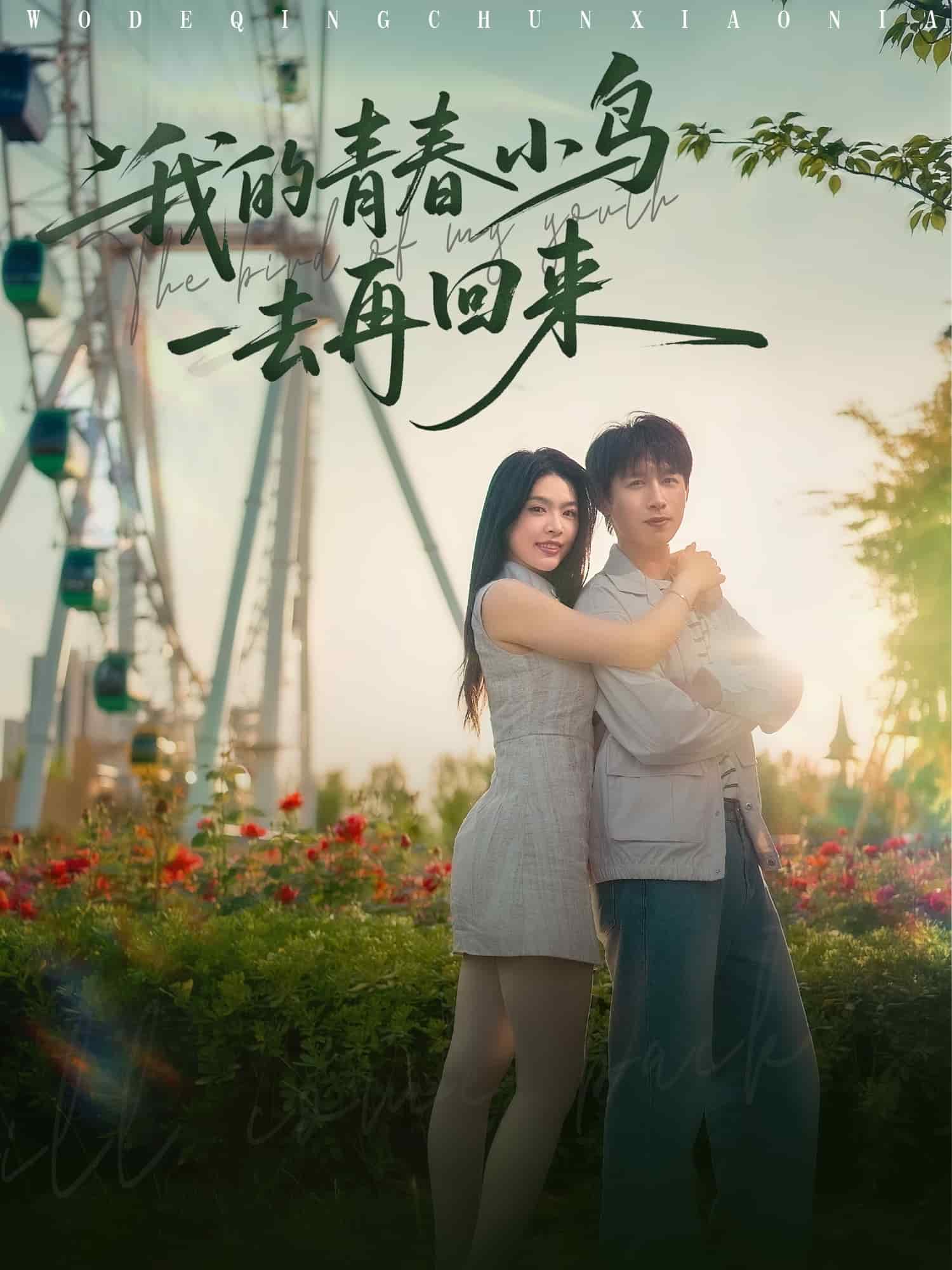 我的青春小鸟一去再回来第65集