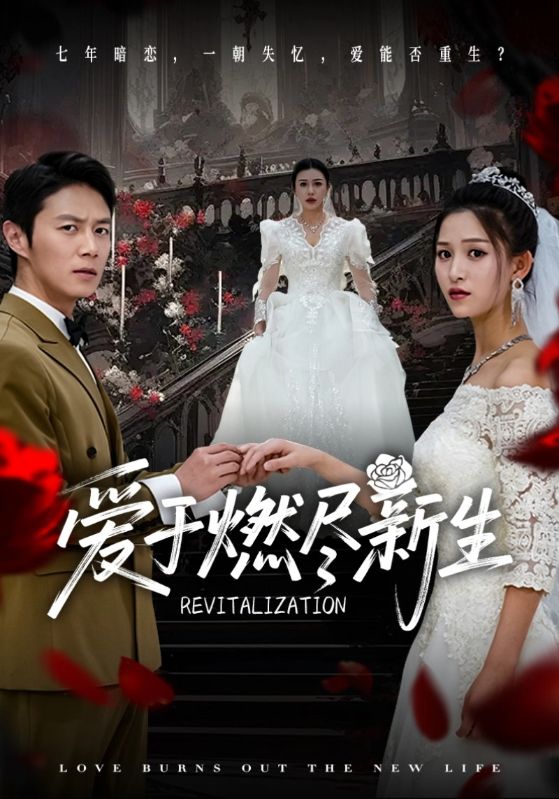 爱于燃尽新生第28集