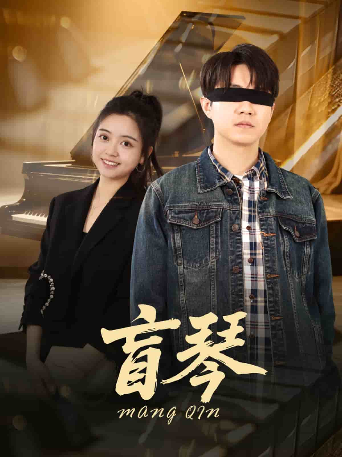 盲琴第23集